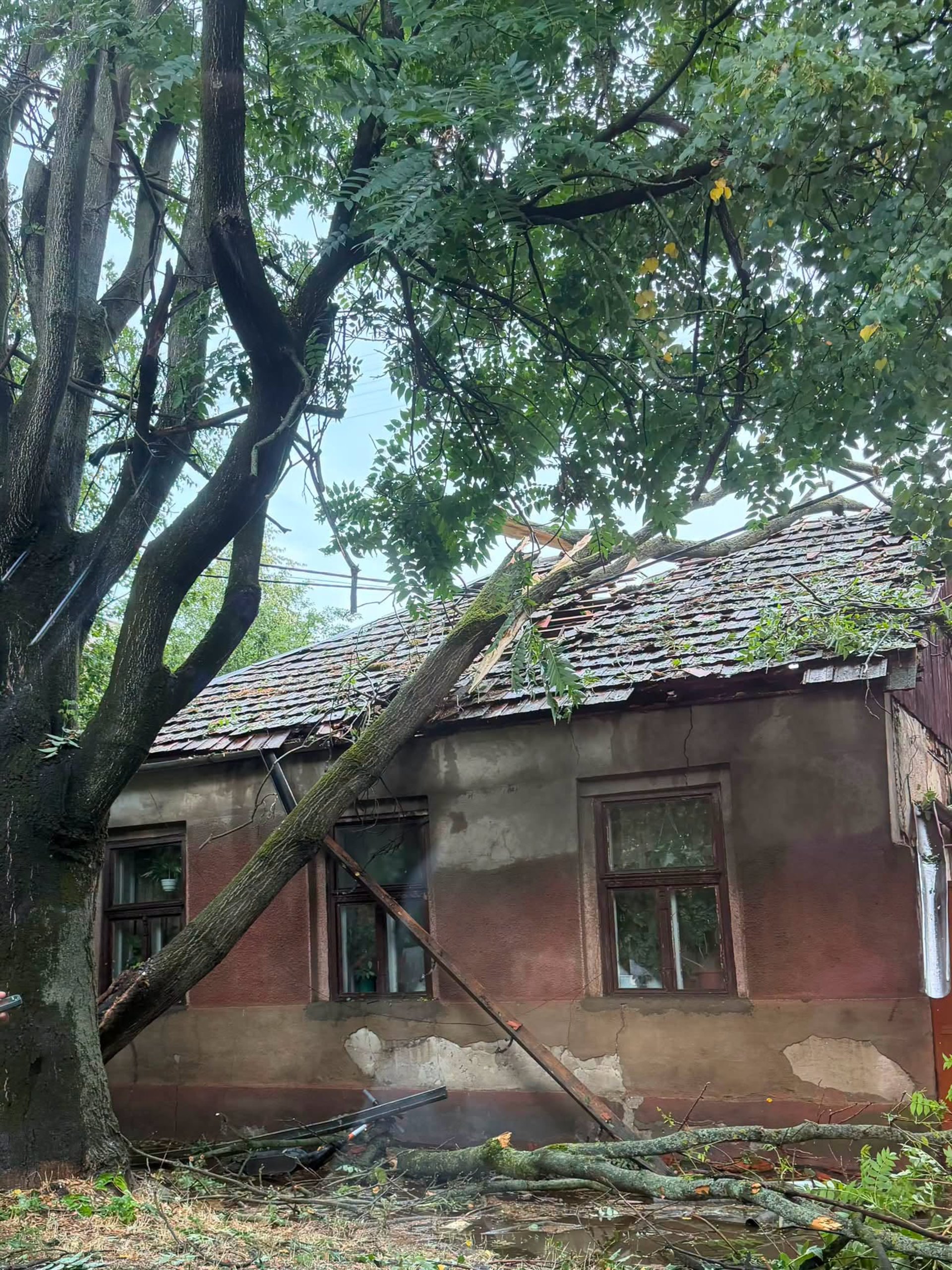 Gyorssegélyt kapnak a viharkárok által sújtott beregszászi térség lakói